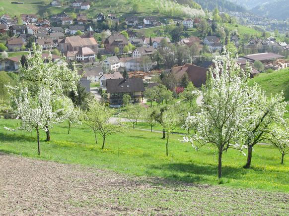 Ferien auf dem Bauernhof im Schwarzwald, Ferienwohnung für 2 Personen in Seebach - Blick auf Seebach
