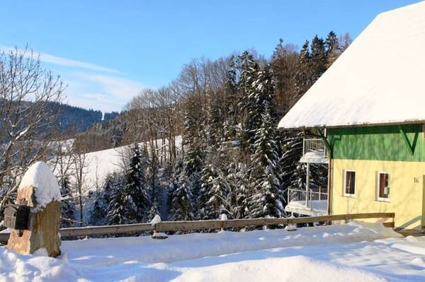 Ferienwohnung im Schwarzwald für 12 Personen in Seebach - Ferienhaus im Winter